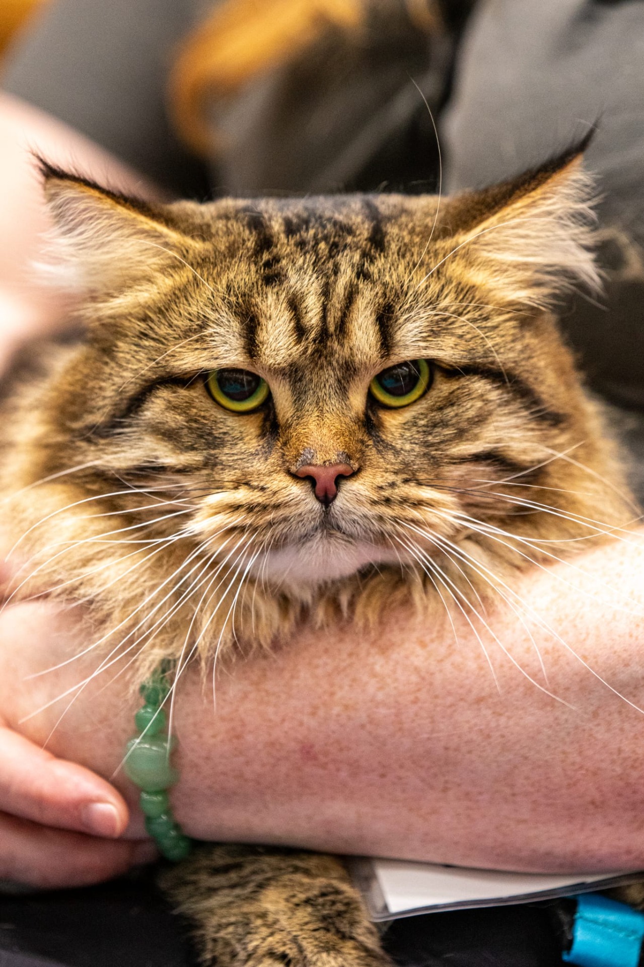 Fotograf: LFW Creations AB