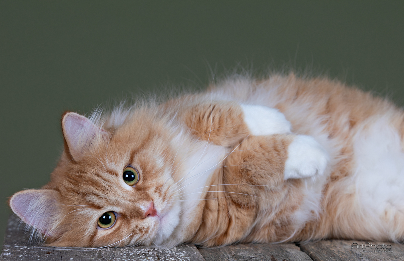 Fotograf: Maria Westling